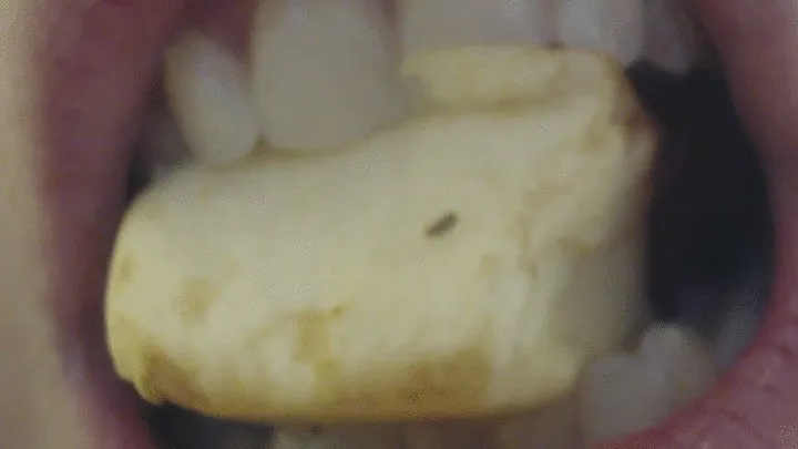 12 minutes of eating, biting and chewing open mouth apple