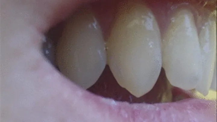 13 minutes teeth in close up to cam