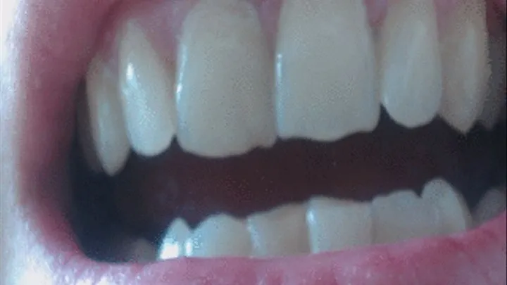 16 minutes of my teeth in close up