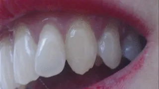 26 minutes of my sharp canines to cam