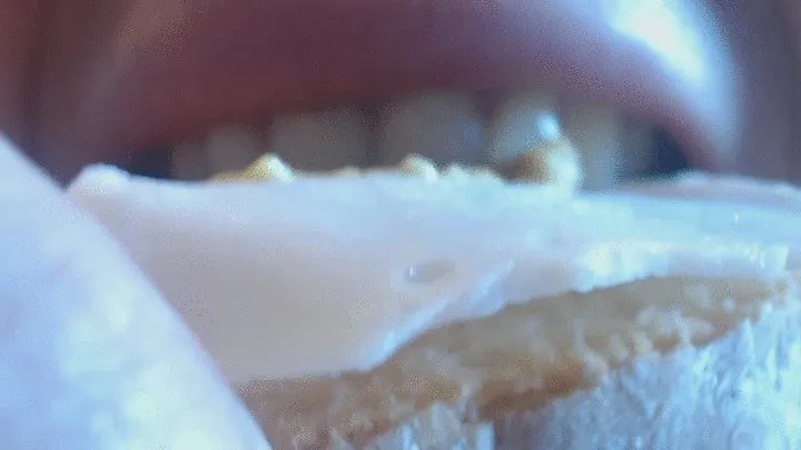 5 minutes of chewing sandwich with ham to cam