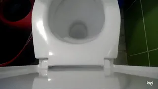 Direct video on the toilet bowl
