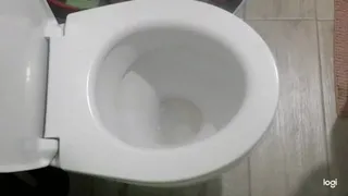 I pee and you can look into the toilet bowl