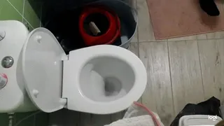 Pee in toilet bowl
