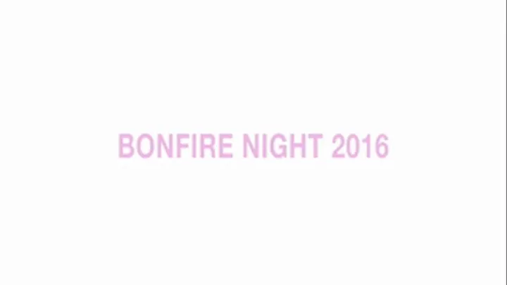 Bonfire Night 2016