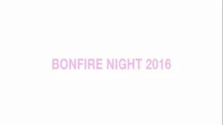 Bonfire Night 2016