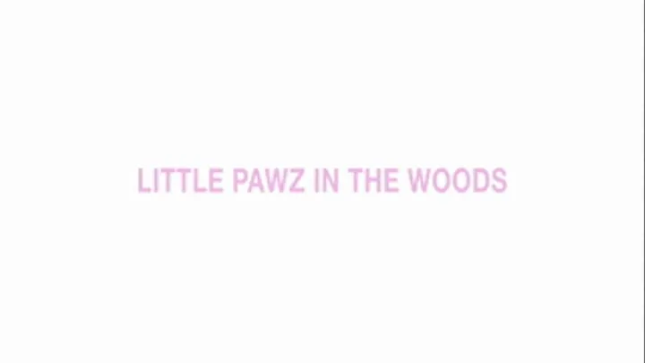 Little Pawz in the woods