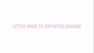 Little Pawz to drynites change