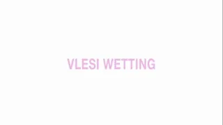 Vlesi Wetting