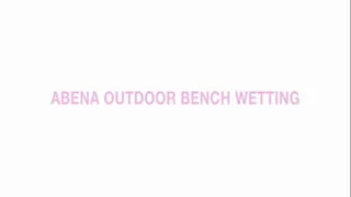 Abena Outdoor Bench Wetting
