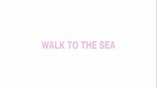 Walking to the sea