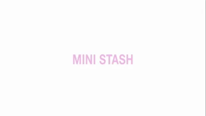 Mini Stash