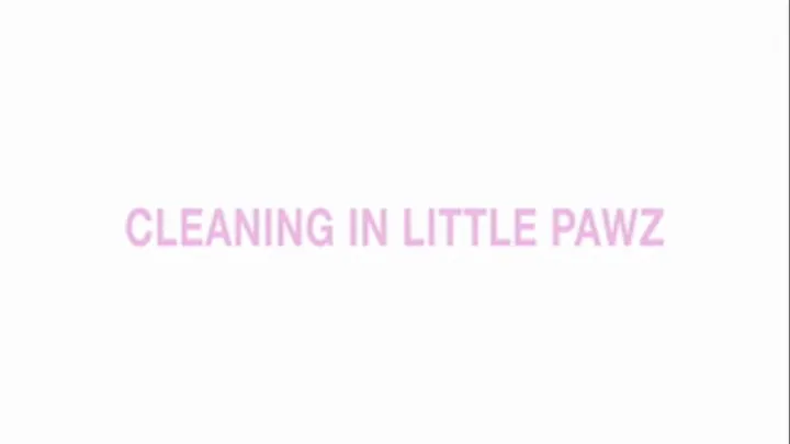 Cleaning in Little Pawz