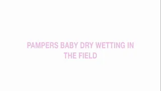 Pampers baby dry wetting in the field