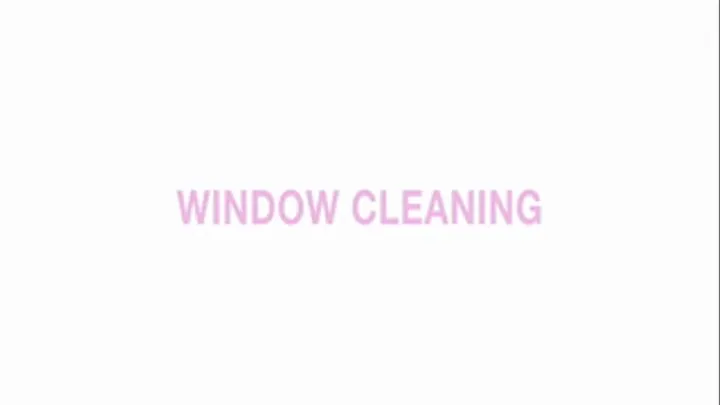 Window cleaning