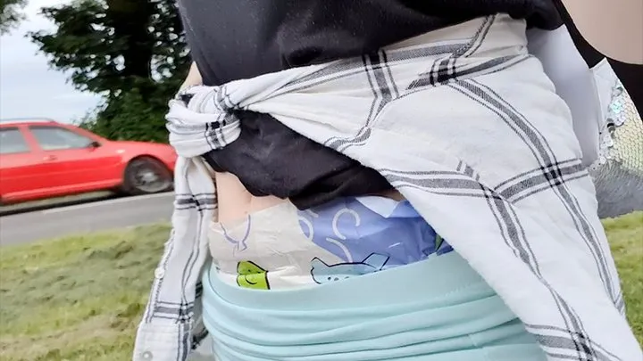 Cushies roadside diaper flashing