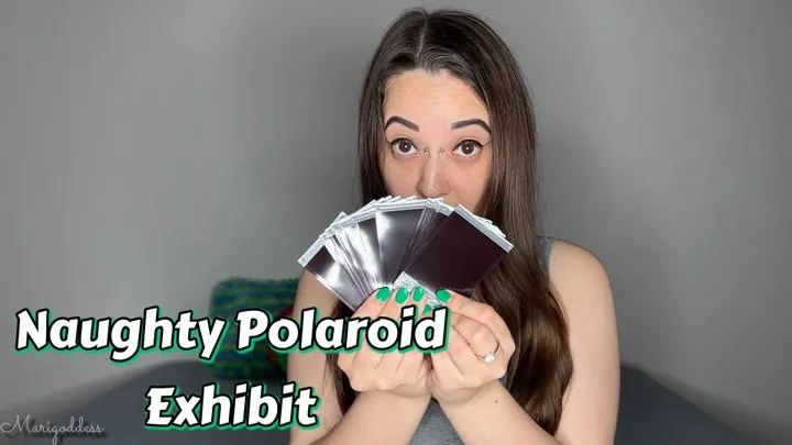 Naughty Polaroid Exhibit