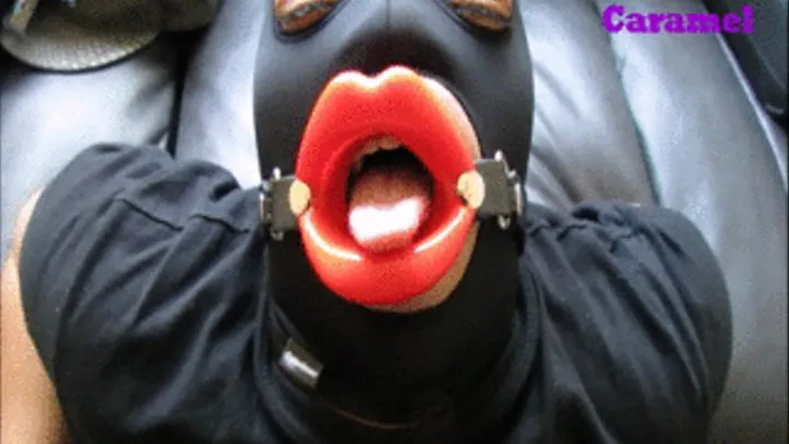 Mouth Gag Dick Sucking