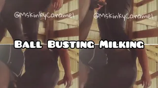 Ball Busting Milking