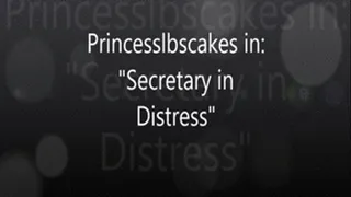 Princesslbscakes in "Secretary In "