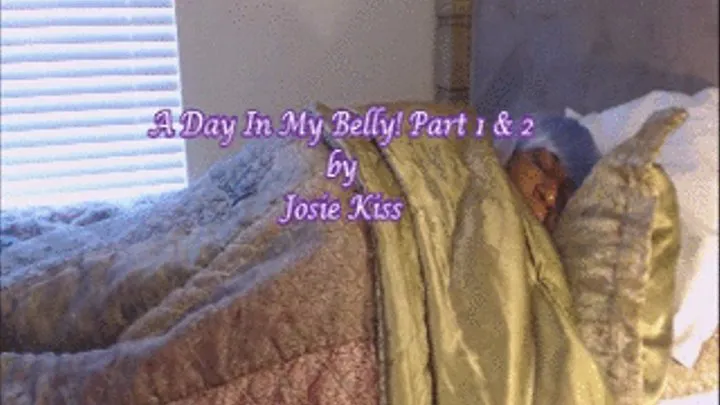 A Day In My Belly Part 1 & 2 Bundle Low