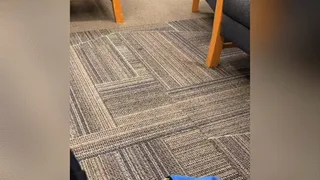 Student Barefoot In Library While Studying