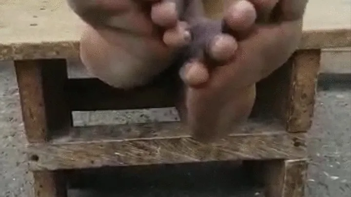 Abrewaa Madam's Dirty Soles Crossed at Ankles On Stool