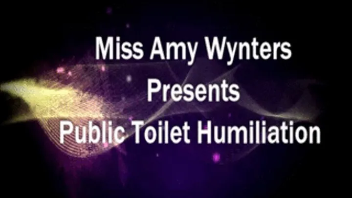 Public Toilet Extreme Humiliation Tasks