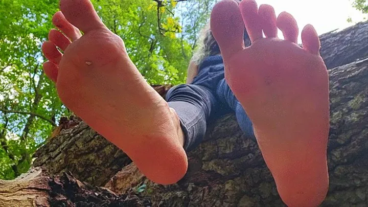 Under Forest GIANTESS FEET