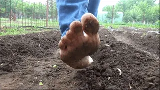 Feet on the Mud