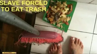 Slave Eat To Trash and Dirty Shoe FlipFlops By Mistress Beh # FULL VERSION 1920 X MP4 VIDEO 15 MIN # GIRLSFEITSHBRAZIL VIDEOS