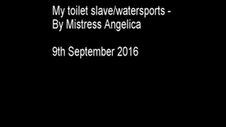 My toilet slave