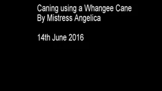 Caning using a Whangee Cane - 14th June 2016