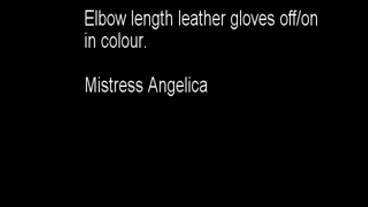 Elbow length leather gloves