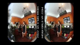 Humiliation Party VR 3D 180