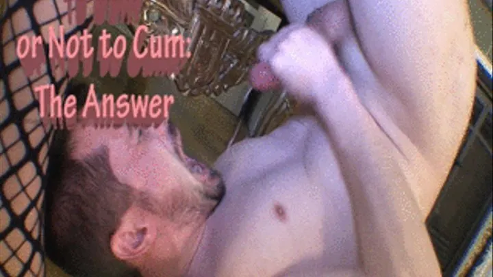 To Cum or Not to Cum: The Answer