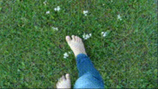 Morning walk barefoot in the dew