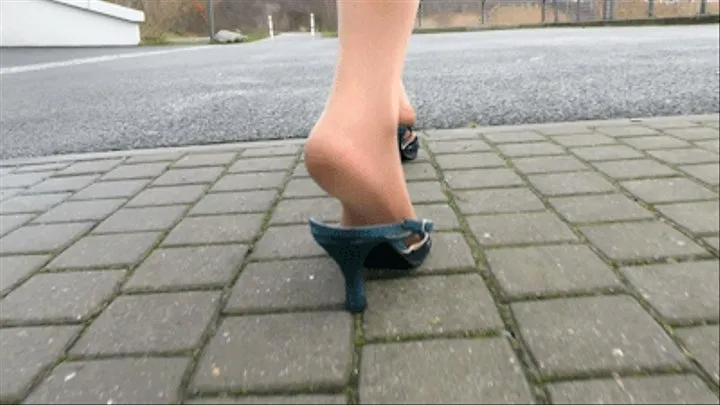 014. Larisa in blue slingbacks - Part 02