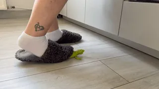 Ignoring crush a lizard