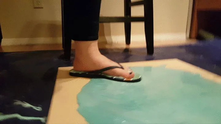 Megan Memes Stuck in Flip Flops