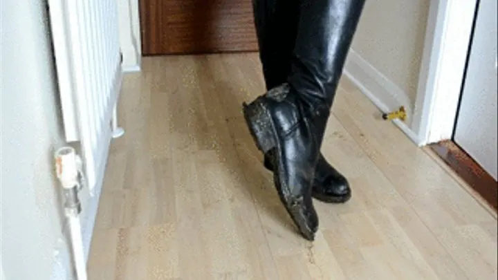 My Filthy Riding Boots