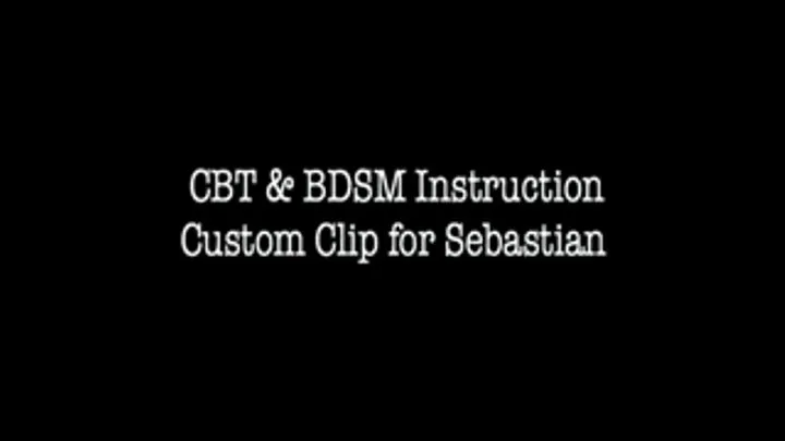 CBT/BDSM INSTRUCTION Interactive Custom