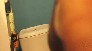 Toilet, big tits and painting lips