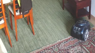 Living room vacuuming