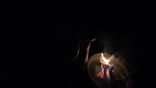 Dirty Camping Sex and CAUGHT