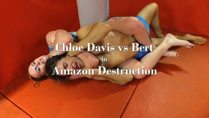 F241 - Amazon Destruction