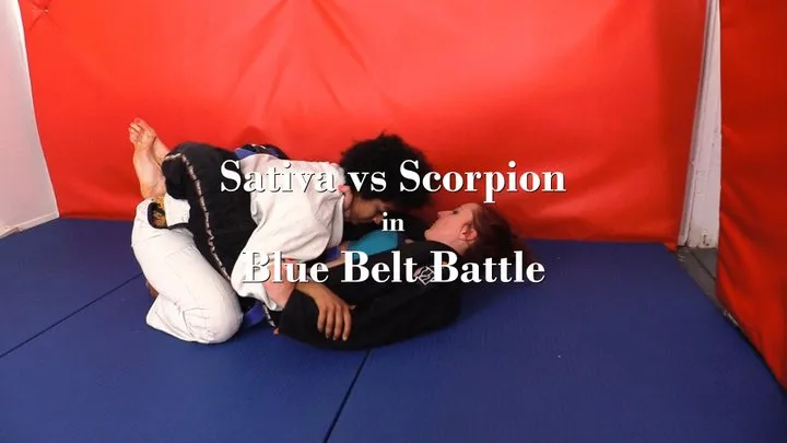 F362 - Blue Belt Battle