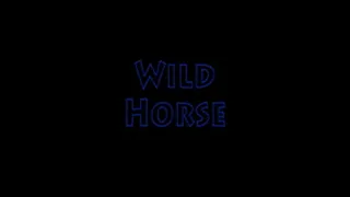 Mistress Miranda & Nikki Whiplash in Wild Horse
