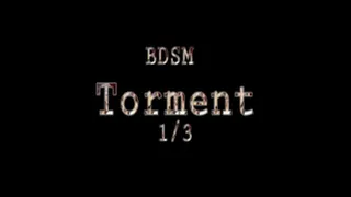 Beauvoir BDSM Torment 1/3