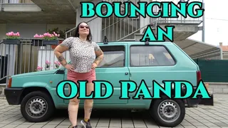 BOUNCING AN OLD PANDA